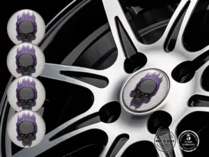 Stickers Dome Tuning Radiant Racing Grid